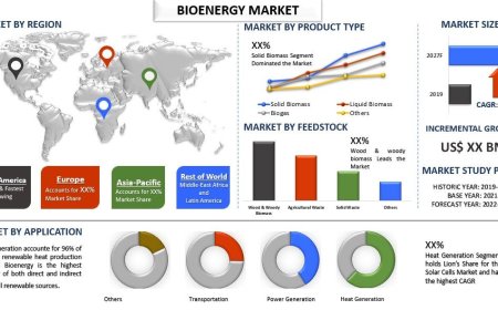 Bioenergy Market: Growth Trends, Size & Strategic Insights (2021-2027) | UnivDatos