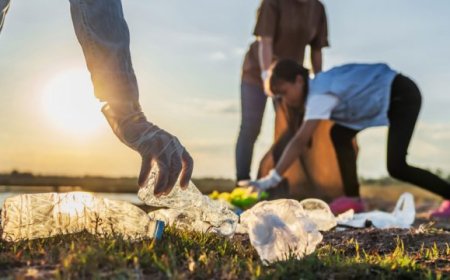 Skip the Hassle – How Private Bin Collection Saves You Time & Money