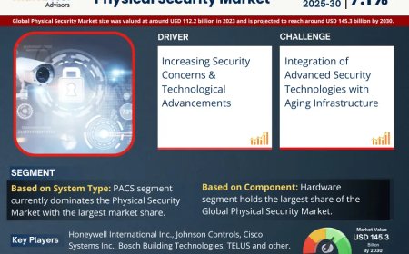 Global Physical Security Market Value and Growth Projections for 2025 - 2030