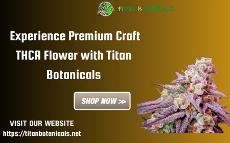 Experience Premium Craft THCA Flower with Titan Botanicals