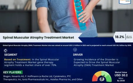 Global Spinal Muscular Atrophy (SMA) Treatment Market Value and Growth Projections for 2025 - 2030