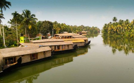 From Sunrise Peaks to Sunset Valleys: A Weekend in Munnar