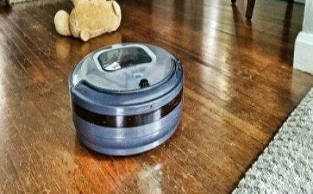 Rapid Expansion in the Residential Robotic Vacuum Cleaner Market