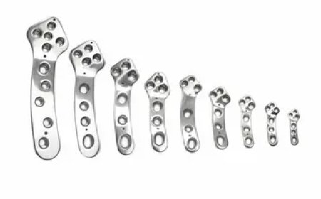 Veterinary Orthopedic Implants Market: Size, Trends, and Strategic Outlook 2025-2032