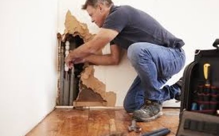Water Damage Services How They Help Protect Your Home