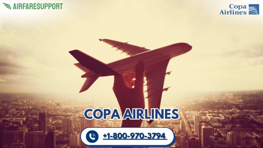How do I contact to a real person on Copa?