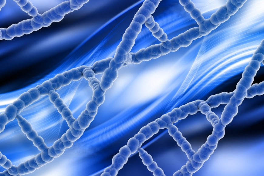 Xcell Amnio Matrix: Transforming Wound Care with Regenerative Technology