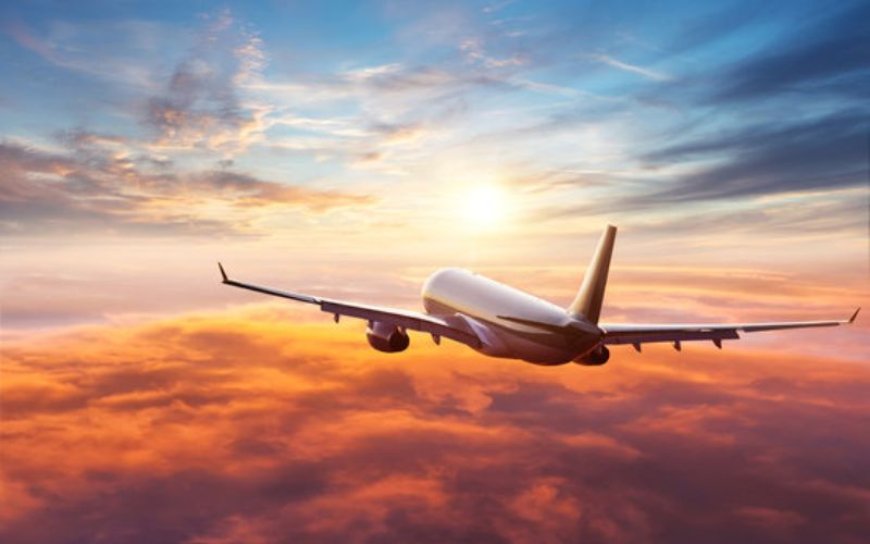 Flying with a Delta Airlines Buddy Pass: What to Expect