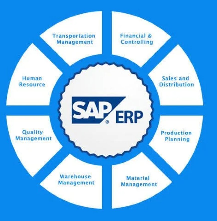 What is a Business Process in SAP?