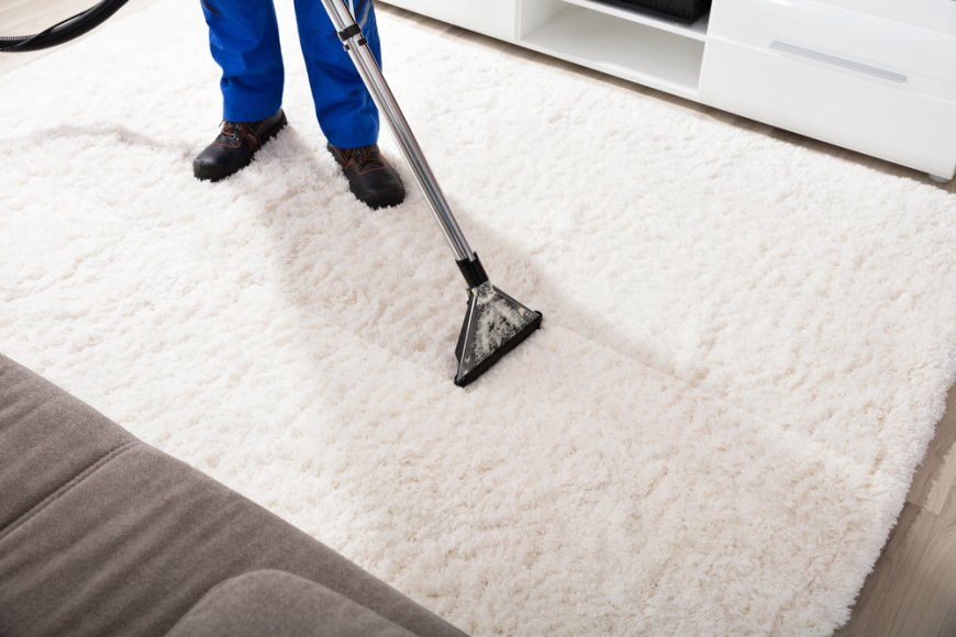 Carpet And Upholstery Cleaner Near Me