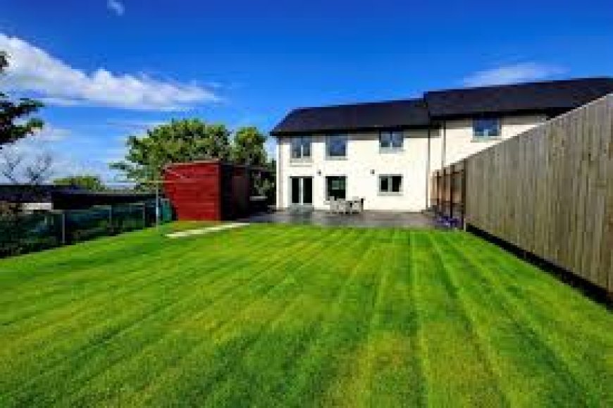 Quiet Places to Stay in Orkney