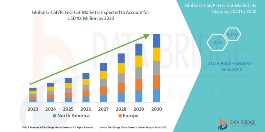 Global G-CSF/PEG-G-CSF Market Companies: Growth, Share, Value, Size, and Insights