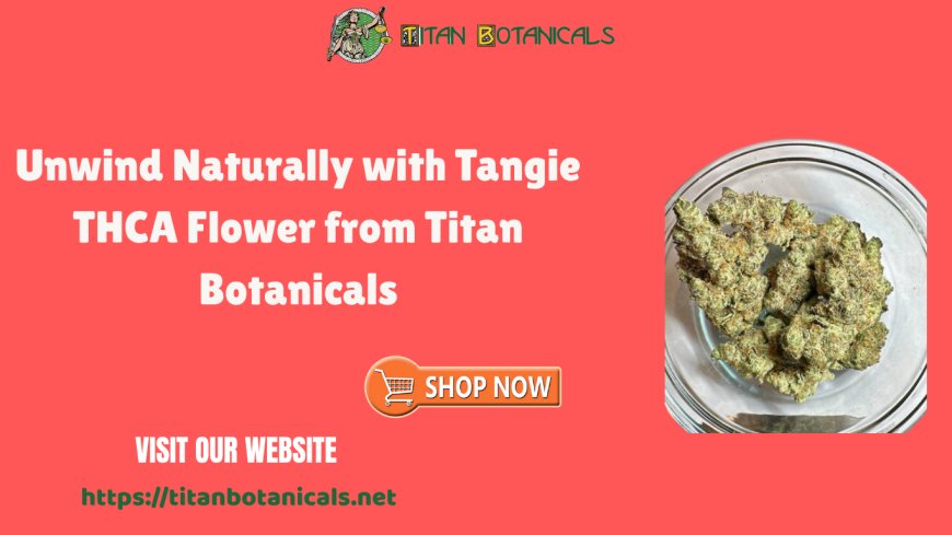 Unwind Naturally with Tangie THCA Flower from Titan Botanicals