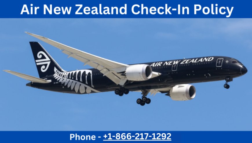 Complete Guide to Air New Zealand Check In