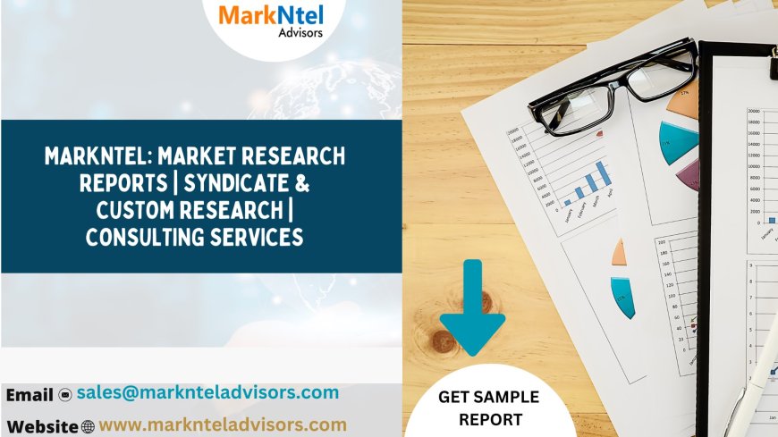 Benelux Wine Market Trends in 2025: What You Need to Know