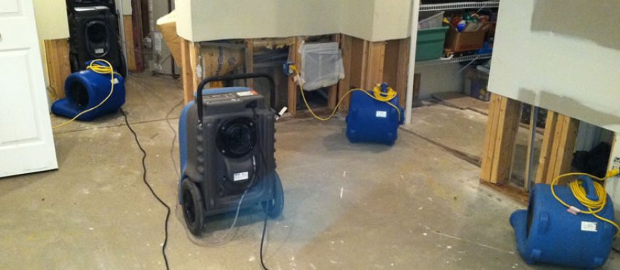 Flood Cleanup Services How They Help You After a Flood