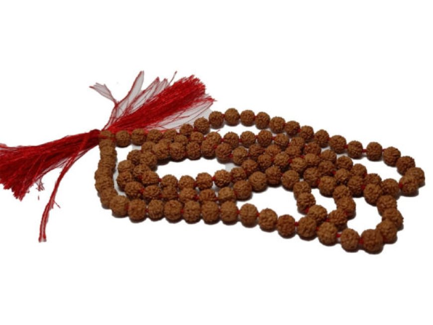 Beyond the Beads: A Beginner's Guide to Rudraksha Mala Benefits