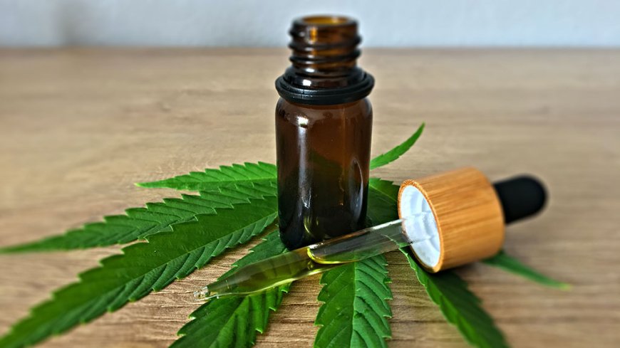Are Premium CBD Products Really Worth the Extra Cost?