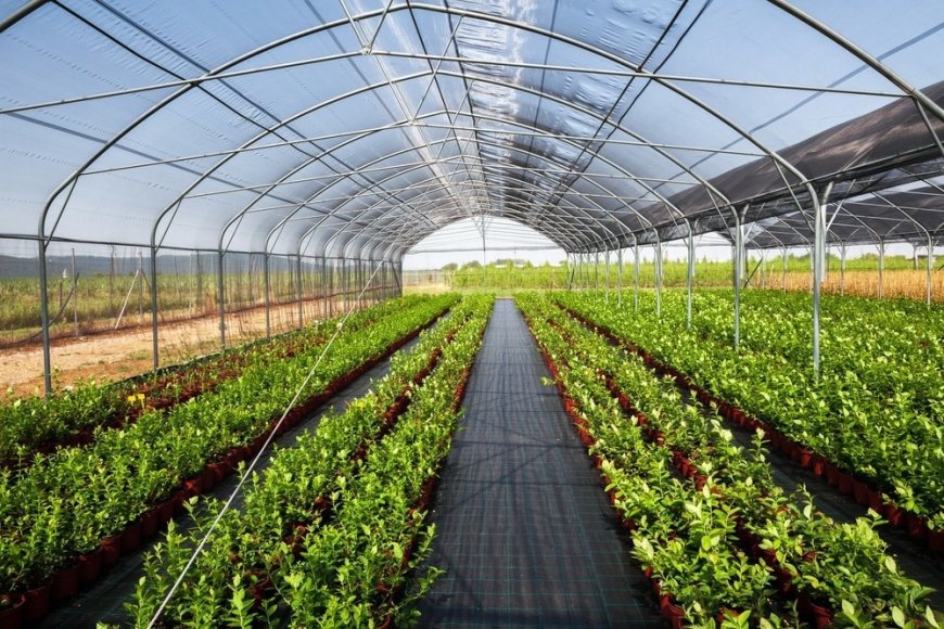 Global Controlled Environment Agriculture Market Value and Growth Projections for 2025 - 2030