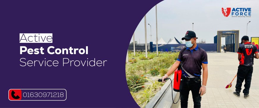 Finding the Best Pest Control Company in Bangladesh: What You Need to Know
