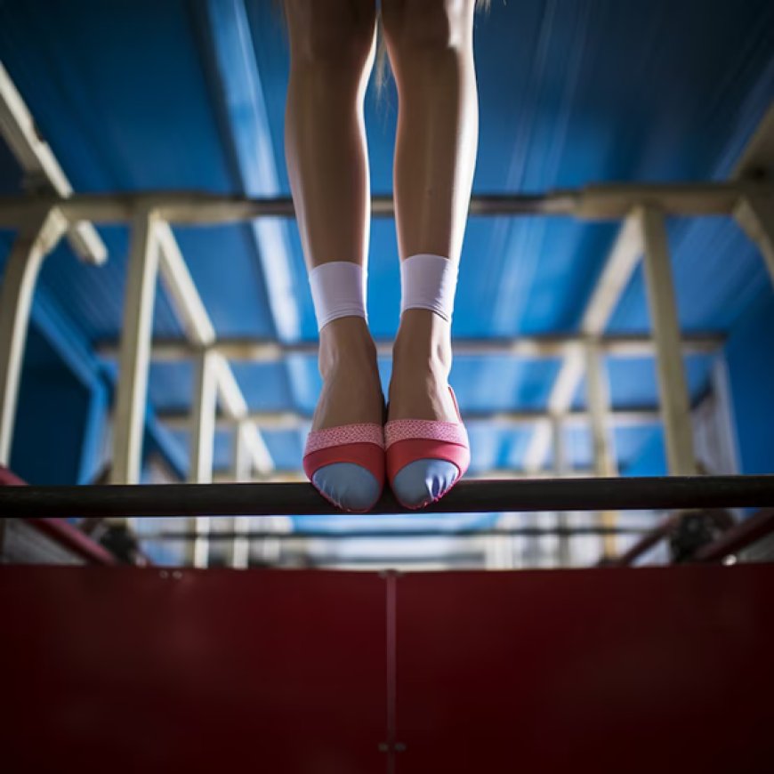 Socks Bridgeview: Small Essentials, Big Impact in Education
