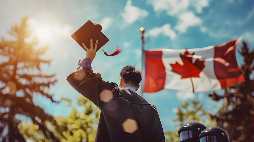 How to Choose the Best Consultancy for Study in Canada