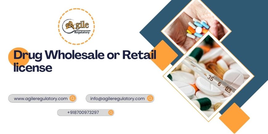 Entering the Pharma Distribution Market: Legal Essentials for Growth-Oriented Businesses