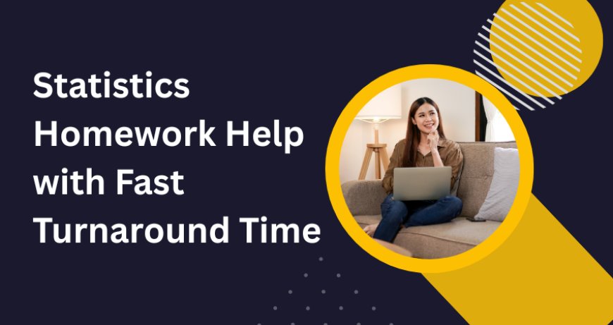 Statistics Homework Help with Fast Turnaround Time