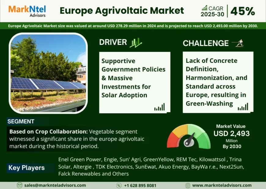 Europe Agrivoltaic Market Value and Growth Projections for 2025 - 2030