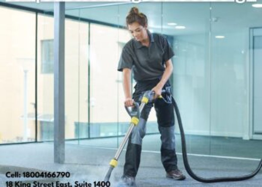 What’s the Difference Between Steam and Dry Carpet Cleaning Services?