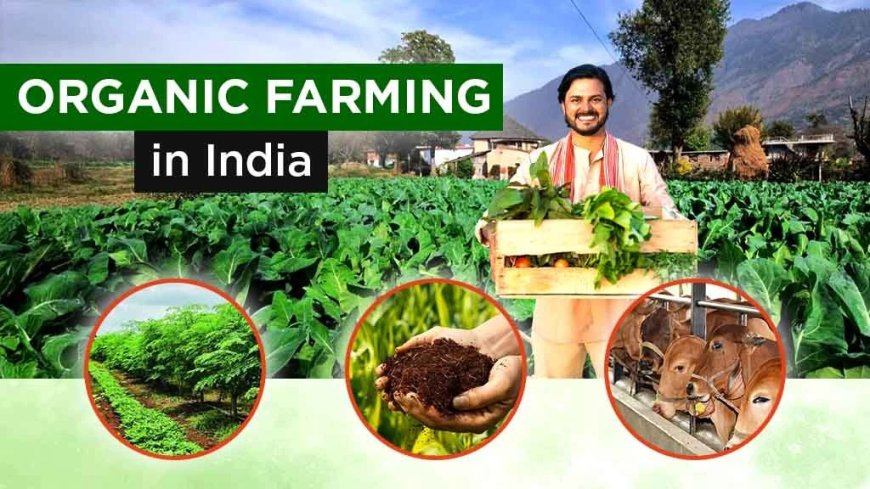 What are The Organic Farming Types and Methods of Farming