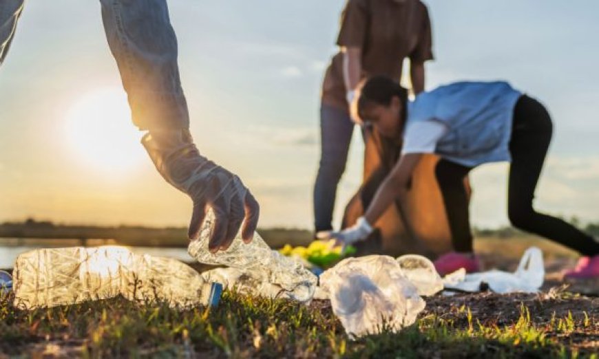 Skip the Hassle – How Private Bin Collection Saves You Time & Money