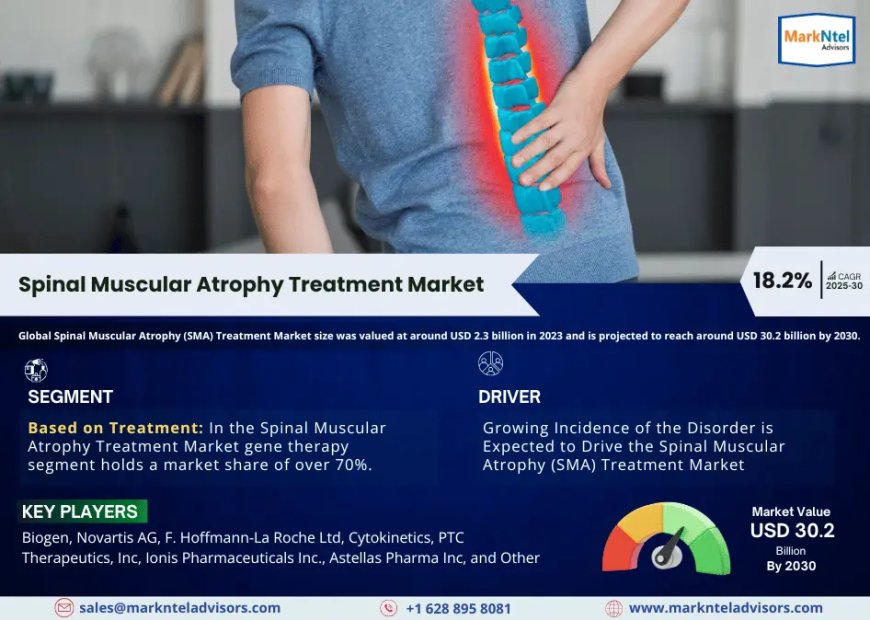 Global Spinal Muscular Atrophy (SMA) Treatment Market Value and Growth Projections for 2025 - 2030