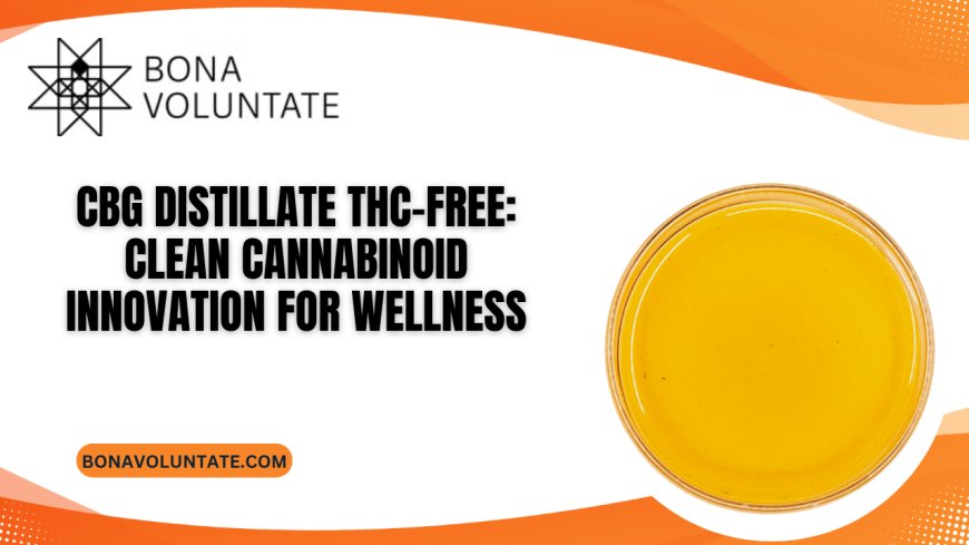 CBG Distillate THC-Free: Clean Cannabinoid Innovation for Wellness