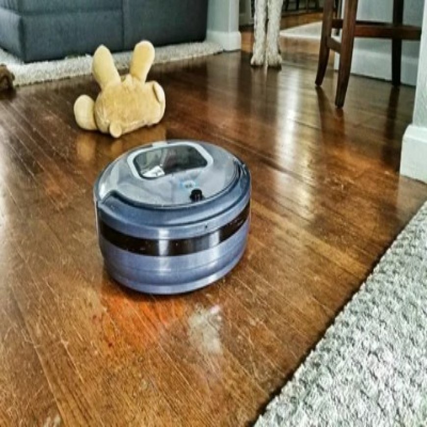 Rapid Expansion in the Residential Robotic Vacuum Cleaner Market