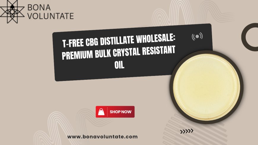 T-Free CBG Distillate Wholesale: Premium Bulk Crystal Resistant Oil