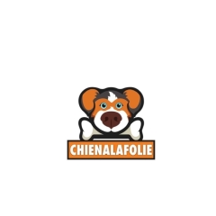 chienalafolie01